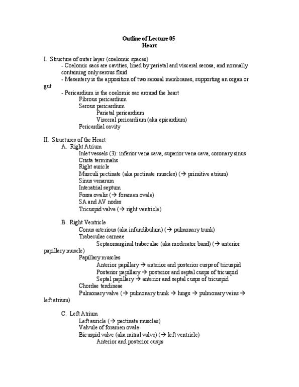 BIOL 1004 Lecture Notes - Heart Block, Small Cardiac Vein, Systolic Geometry thumbnail