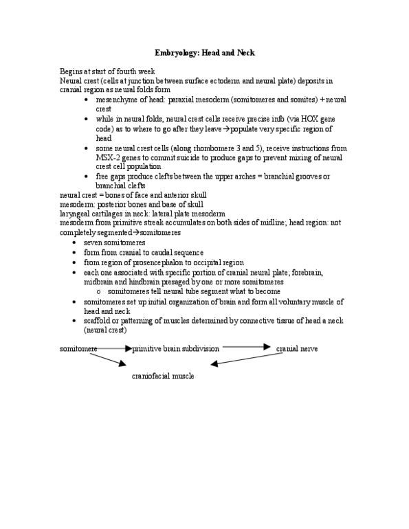 BIOL 1004 Lecture Notes - Saccule, Aniridia, Posterior Chamber Of Eyeball thumbnail