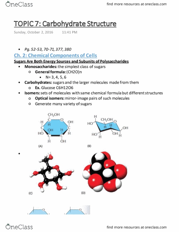 Biochemistry 2280A Chapter Notes - Chapter 11: Glycogen, Condensation Reaction, Chemical Formula thumbnail