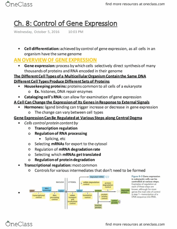 Biochemistry 2280A Chapter Notes - Chapter 9: Small Interfering Rna, Asteroid Family, Chromatin thumbnail