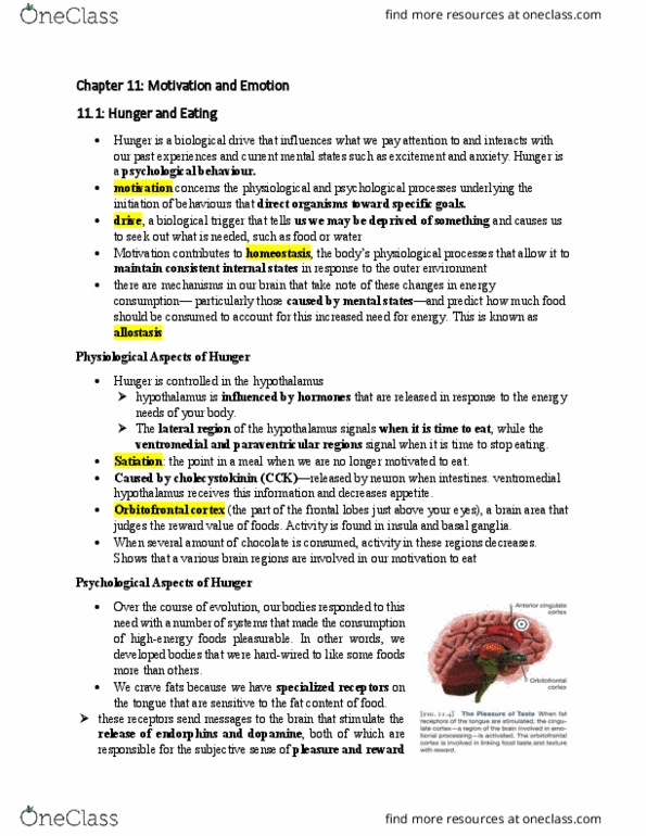 PSY100H1 Chapter Notes - Chapter 11: Ghrelin, Polygraph, Primary Stages thumbnail