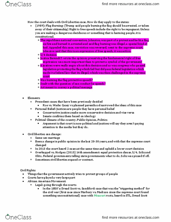 POL_SC 1100 Lecture Notes - Lecture 26: Flag Desecration, Equal Protection Clause, Civil Liberties thumbnail