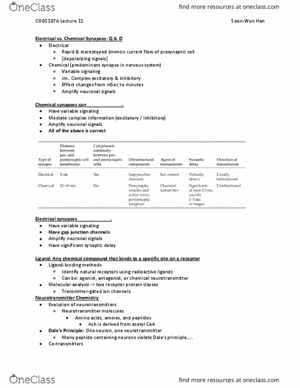 COGS 107A Lecture Notes - Lecture 11: Ventral Root Of Spinal Nerve, Autoreceptor, Motor Neuron thumbnail