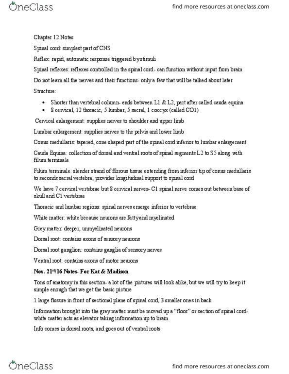 BIOL1202 Lecture Notes - Lecture 13: Denticulate Ligaments, Lumbar Puncture, Mechanoreceptor thumbnail