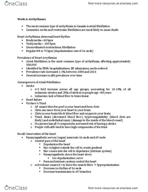 KINESIOL 4B03 Lecture Notes - Lecture 6: Glycated Hemoglobin, Adrenergic Receptor, Bsc Young Boys thumbnail