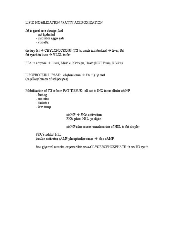 BIOLOGY 2D03 Lecture Notes - Gluconeogenesis, Citric Acid Cycle, Acetyl-Coa thumbnail