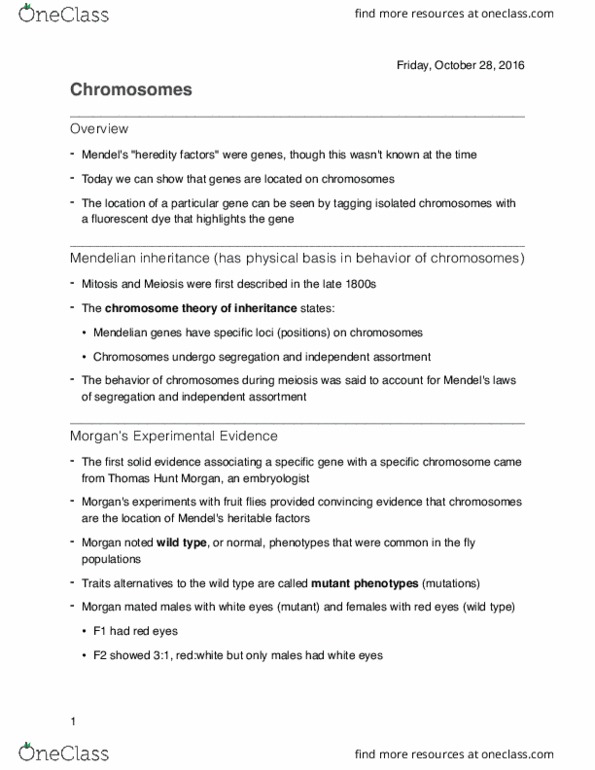 BSC 197 Lecture Notes - Lecture 20: Gamete, Centimorgan, Fundamental Theorem Of Arithmetic thumbnail