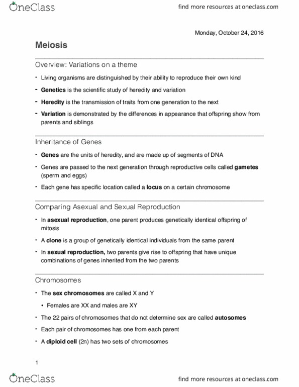 BSC 197 Lecture Notes - Lecture 18: Centromere, Cleavage Furrow, Mendelian Inheritance thumbnail