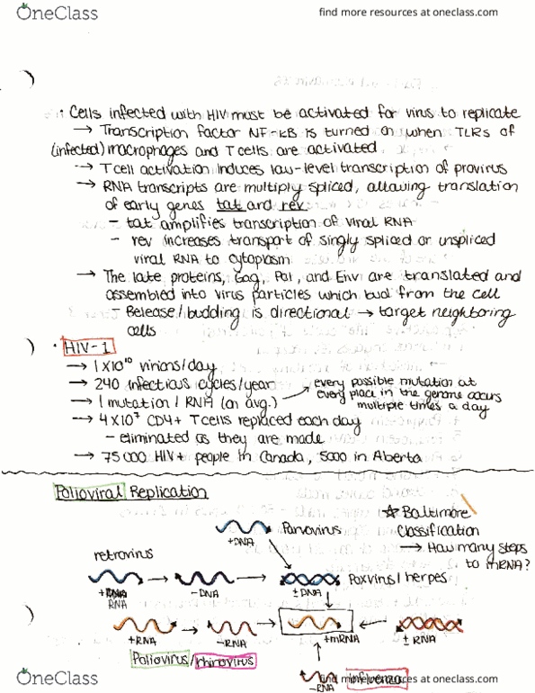 IMIN200 Lecture Notes - Lecture 14: Vpg, Mode 9, Rna Virus thumbnail