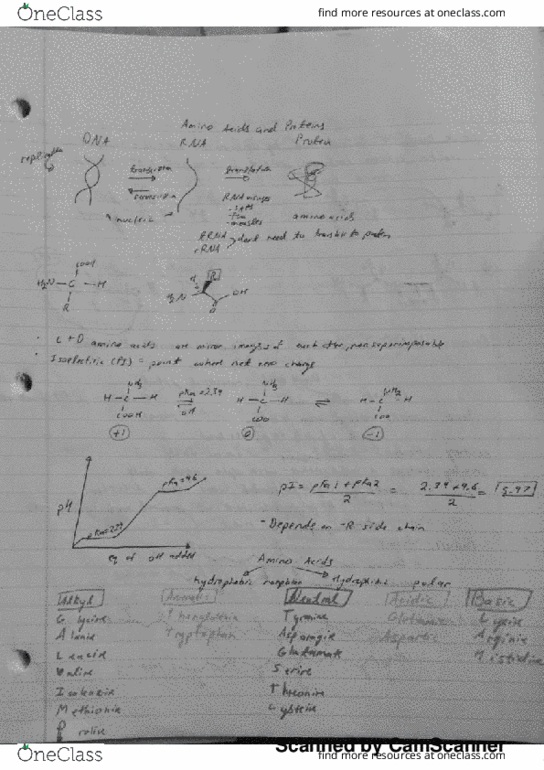 BIOS 452 Lecture 16: amino acid lecture 1 thumbnail