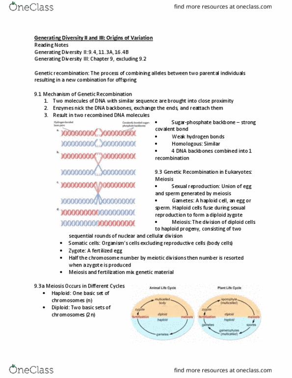 Biology 1201A Chapter Notes - Chapter 9: Sexual Reproduction, Ploidy, Genetic Recombination thumbnail