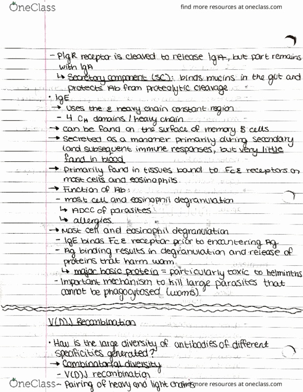 IMIN371 Lecture Notes - Lecture 9: Non-Homologous End Joining, Plasmid, Hek 293 Cells thumbnail