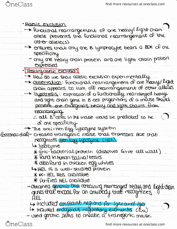 IMIN371 Lecture Notes - Lecture 11: Epitope, Hela, Immunoglobulin D thumbnail