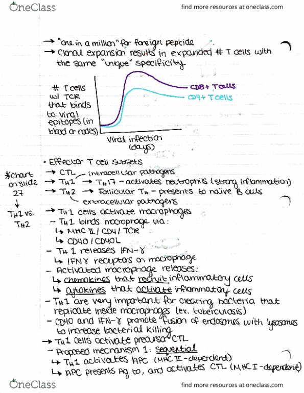 IMIN371 Lecture Notes - Lecture 20: Natural Killer Cell, Bernama, Dendritic Cell thumbnail