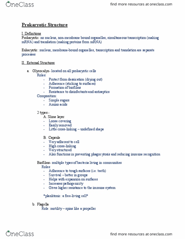 BMS 212 Lecture Notes - Lecture 4: Mesosome, Sporangium, Ester thumbnail