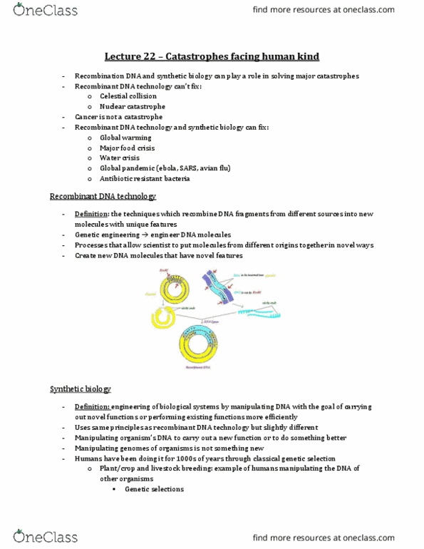 Biochemistry 2280A Lecture Notes - Lecture 22: Ampicillin, Repressor, Alanine thumbnail