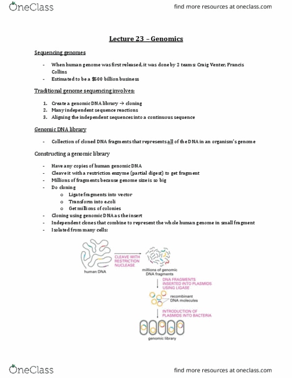 Biochemistry 2280A Lecture Notes - Lecture 23: Mass Spectrometry, Ribosomal Rna, Transfer Rna thumbnail