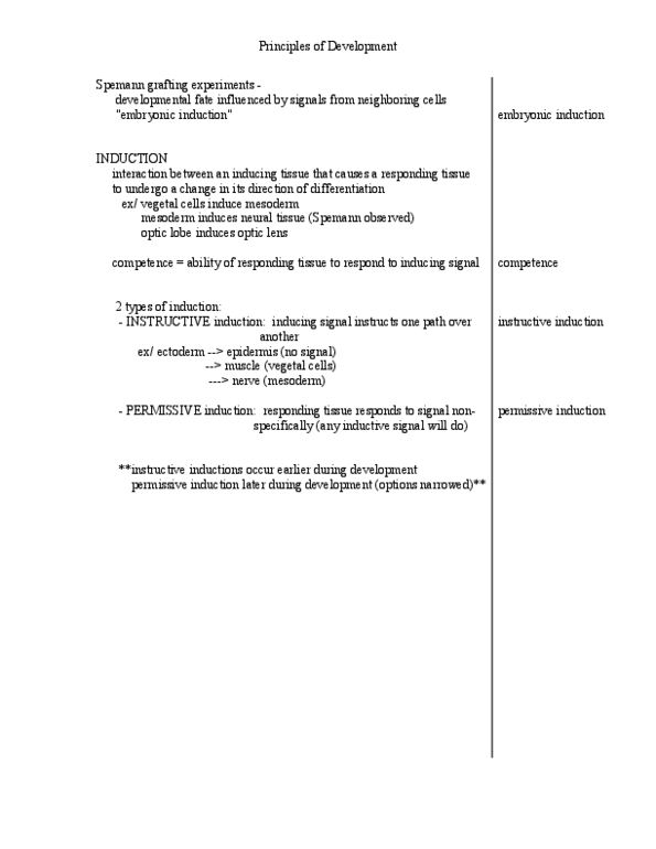 5-350 Lecture Notes - Oncogene, Growth Factor, Melanocyte thumbnail