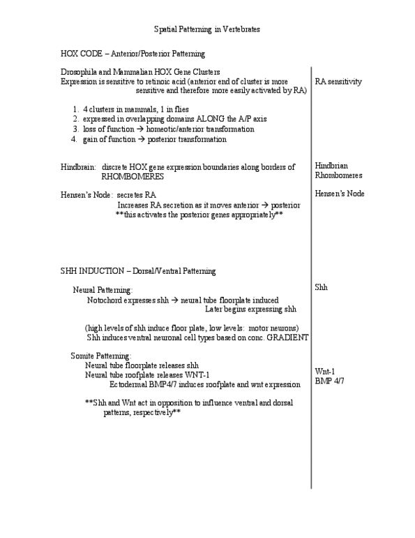 5-350 Lecture Notes - Teratology, Nevoid Basal-Cell Carcinoma Syndrome, Pitx2 thumbnail