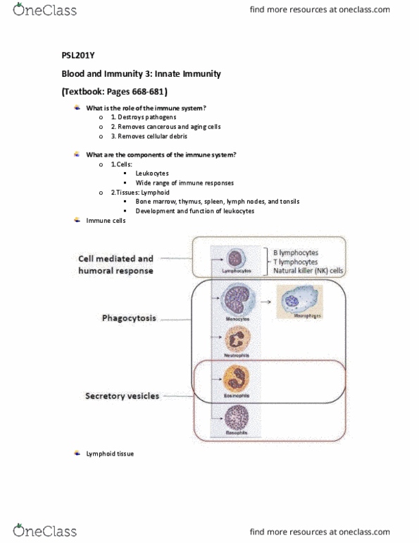 PSL201Y1 Lecture Notes - Lecture 16: Complement Membrane Attack Complex, Cytotoxic T Cell, Exocytosis thumbnail