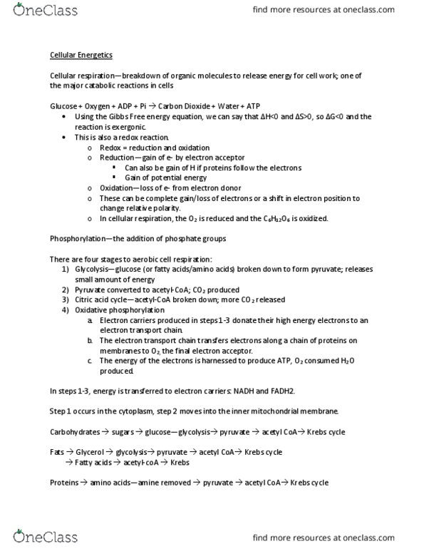 BIOL-103 Lecture Notes - Lecture 12: Glycolysis, Atp Synthase, Intermembrane Space thumbnail