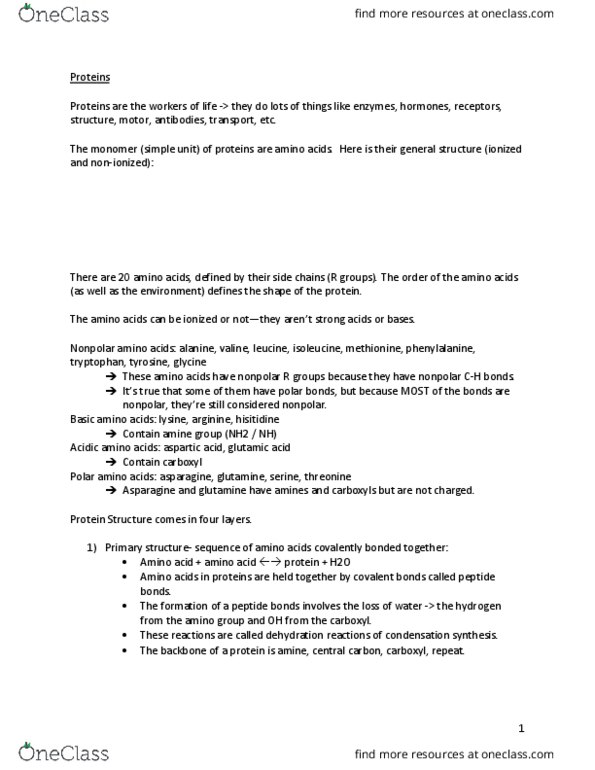 BIOL-103 Lecture Notes - Lecture 4: Loess, Steric Effects, Carboxylic Acid thumbnail