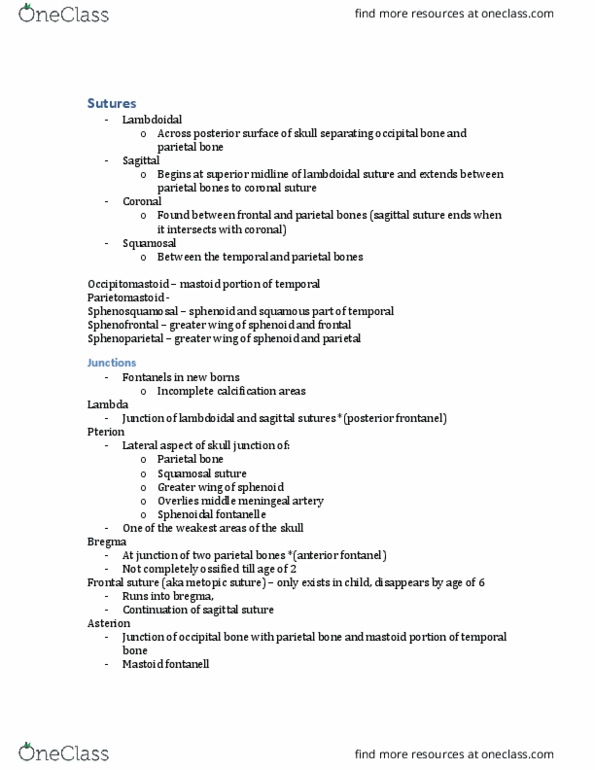 MEDRADSC 3I03 Lecture Notes - Lecture 16: Foramen Magnum, Incisive Foramen, Medulla Oblongata thumbnail