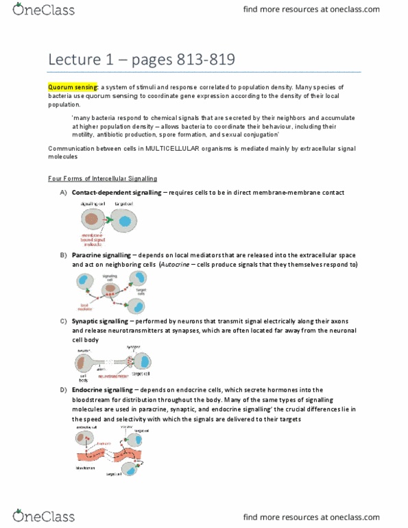 BIO315H5 Chapter Notes - Chapter 15: Quorum Sensing, Paracrine Signalling, Endocrine System thumbnail