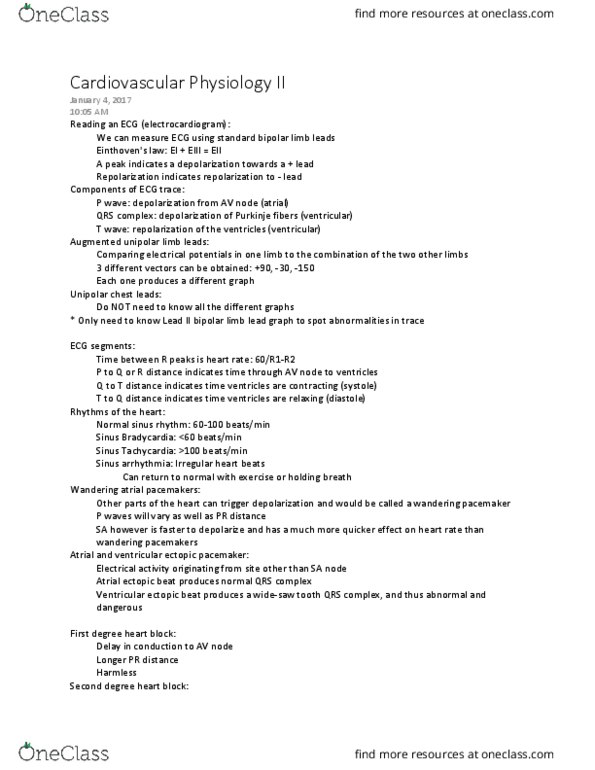 BIOC33H3 Lecture Notes - Lecture 2: Atrioventricular Node, Purkinje Fibers, Circulatory System thumbnail