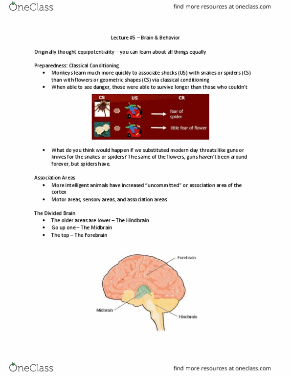 PSYC 10213 Lecture Notes - Lecture 5: 50 First Dates, Basal Ganglia, Motor Cortex thumbnail