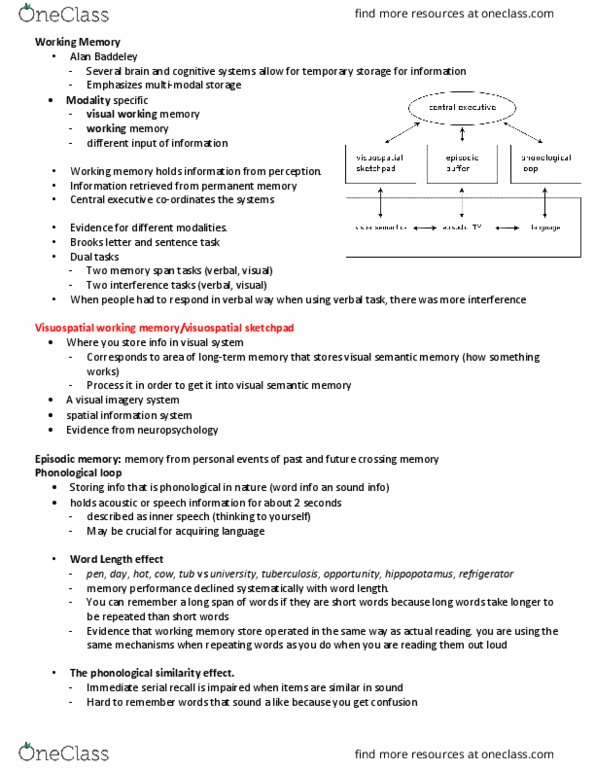 Psychology 2135A/B Lecture Notes - Lecture 8: Long-Term Memory, Alan Baddeley, Working Memory thumbnail