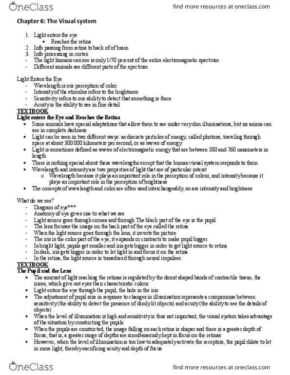 Psychology 2221B Chapter Notes - Chapter 6: Retinal Ganglion Cell, Lateral Geniculate Nucleus, Photopic Vision thumbnail