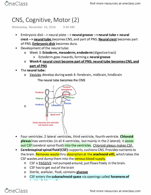 PHGY 209 Lecture Notes - Lecture 21: Arachnoid Granulation, Pia Mater, Cerebrospinal Fluid thumbnail
