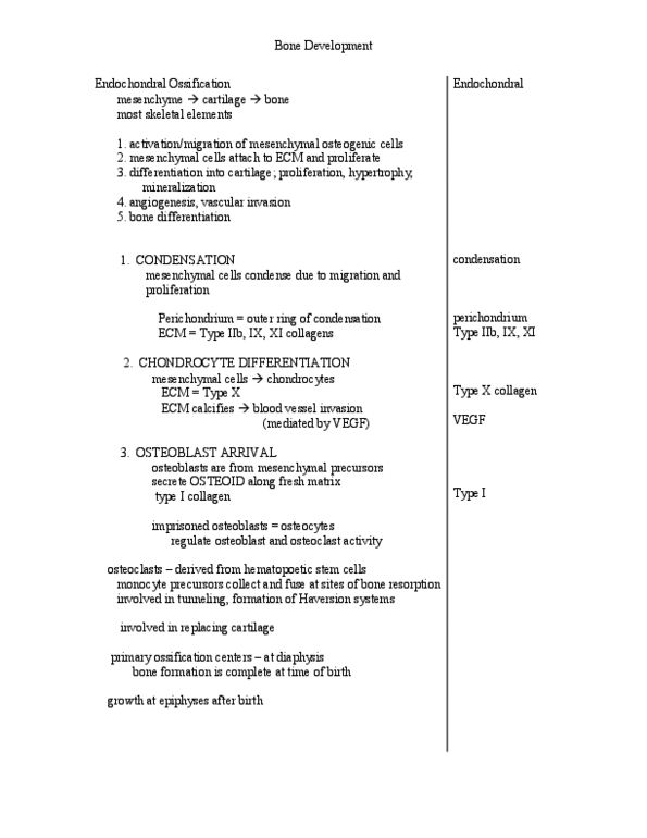 BIOL 3010 Lecture Notes - Haploinsufficiency, Fibroblast Growth Factor Receptor, Gdf5 thumbnail