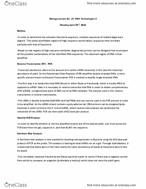 Biology 1001A Lecture Notes - Lecture 23: Polymerase Chain Reaction, Reverse Transcriptase, Polyadenylation thumbnail