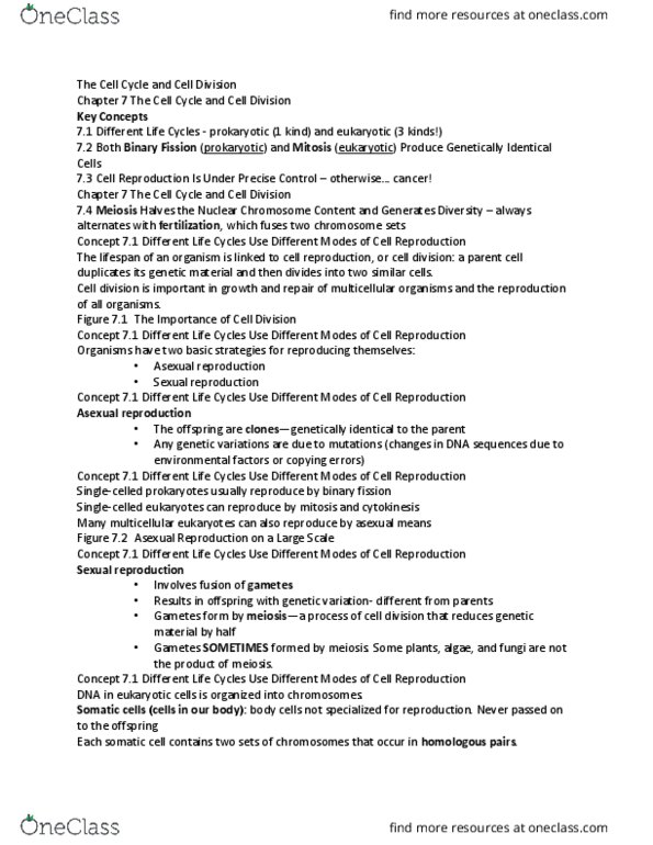 BSC 2010 Lecture 7: Biology 7 Notes thumbnail