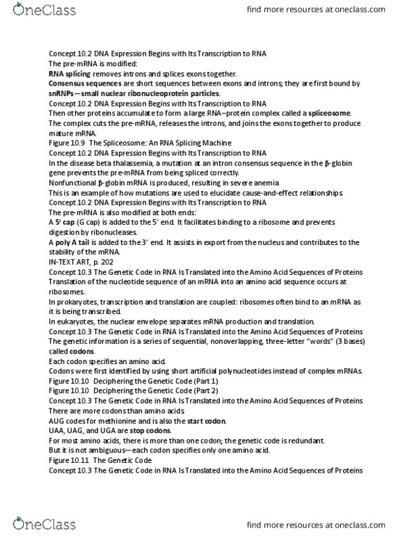 BSC 2010 Lecture Notes - Lecture 10: Rna Splicing, Nonsense Mutation, Start Codon thumbnail