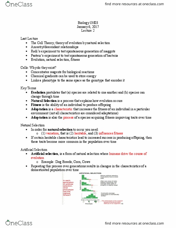 BIOLOGY 1M03 Lecture Notes - Lecture 2: Selective Breeding, Cell Theory, Protist thumbnail