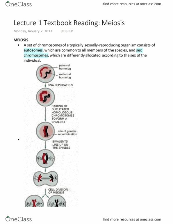 GENOME 361 Chapter Notes - Chapter 1: Sister Chromatids, Genetic Recombination, Meiosis thumbnail