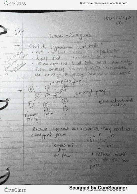 BIOL 200 Lecture 3: Thermodynamics, Protiens, and Enzymes thumbnail