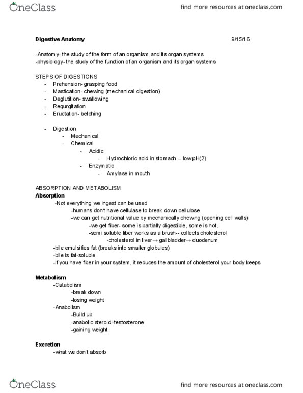 ANSC 1001 Lecture Notes - Lecture 5: Monogastric, Mastication, Bicarbonate thumbnail