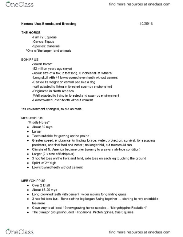 ANSC 1001 Lecture Notes - Lecture 15: Estrous Cycle, Calf Roping, Breed Registry thumbnail