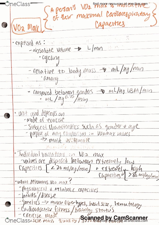 KINE 408 Lecture 7: Ch 4 Notes thumbnail