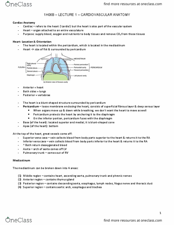 HTHSCI 1H06 Lecture Notes - Lecture 1: Left Coronary Artery, Pulmonary Valve, Pus thumbnail