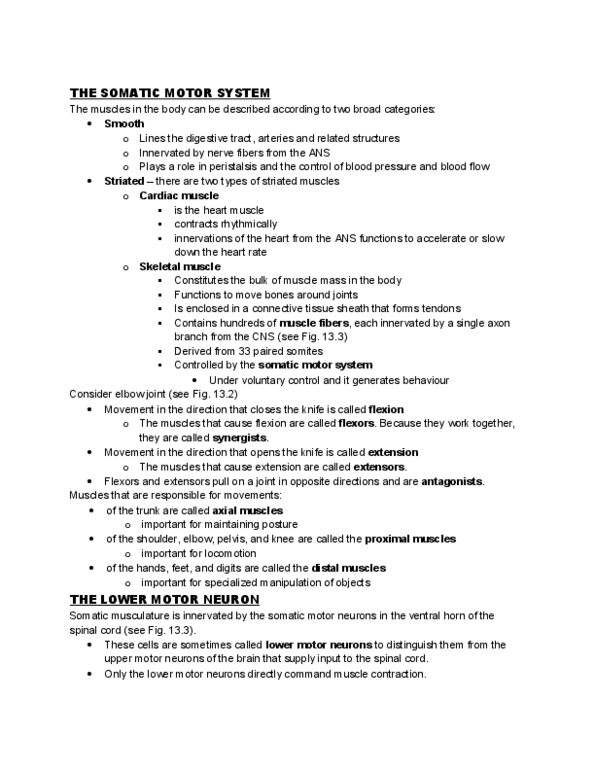 PSYC101 Lecture Notes - Anti-Gravity, Neuromuscular Junction, Lower Motor Neuron thumbnail