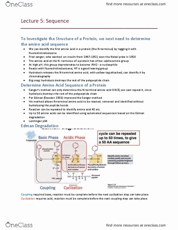 BIOC 2580 Lecture Notes - Lecture 5: Sanger Sequencing, Methionine, Pubmed thumbnail