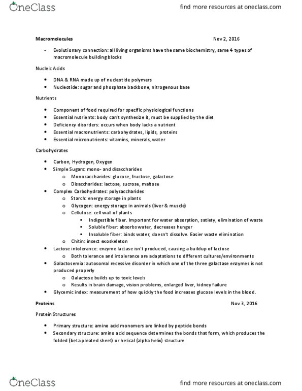 BLG 181 Lecture Notes - Lecture 11: Avocado, Beta Sheet, Alanine thumbnail