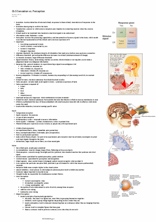 PSY100H1 Lecture Notes - Two-Streams Hypothesis, Contrast Effect, Additive Color thumbnail