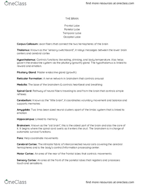 PSYCH-106 Lecture Notes - Lecture 3: Brainstem, Pituitary Gland, Cerebellum thumbnail