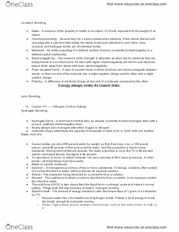 BIOL 101 Chapter Notes - Chapter 2: Sodium Chloride, Surface Tension, Chemical Bond thumbnail